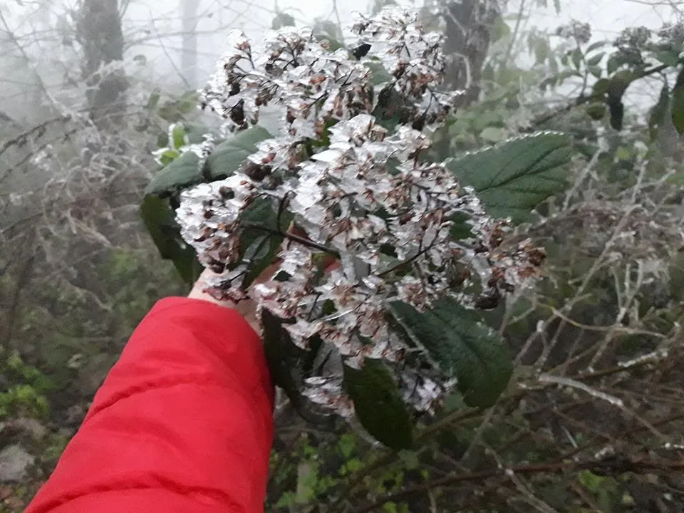 Nhiều nơi ở miền Bắc xuất hiện băng giá ảnh 2