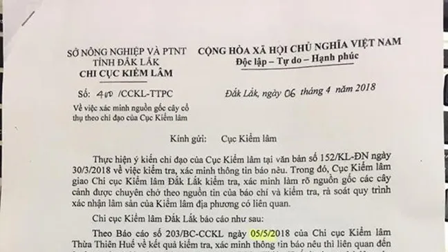 3 cây siêu khủng bị tạm giữ, 1 cây có hồ sơ giả ảnh 1