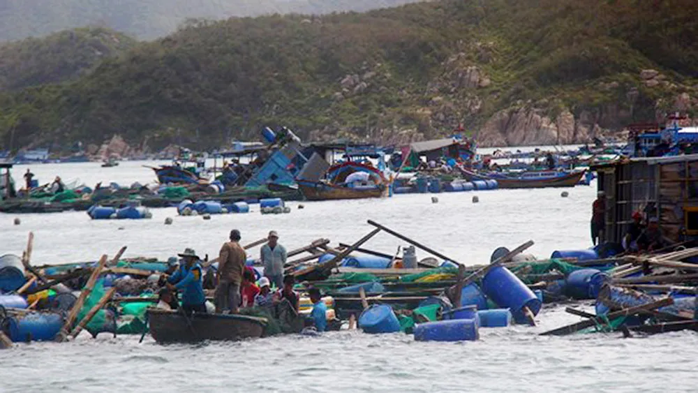 Thiệt hại nặng nề nhưng hơn 6 tháng vẫn không nhận được tiền hỗ trợ của Chính phủ ảnh 1