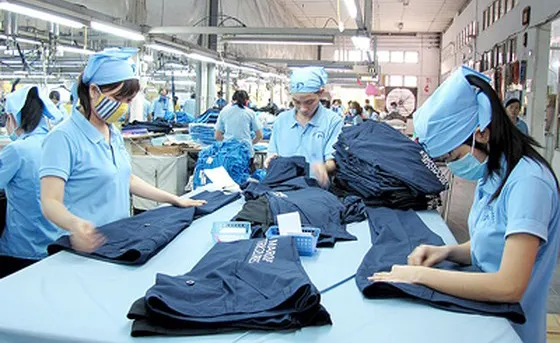 15.000 người đóng bảo hiểm, chỉ vài người có lương hưu ảnh 2