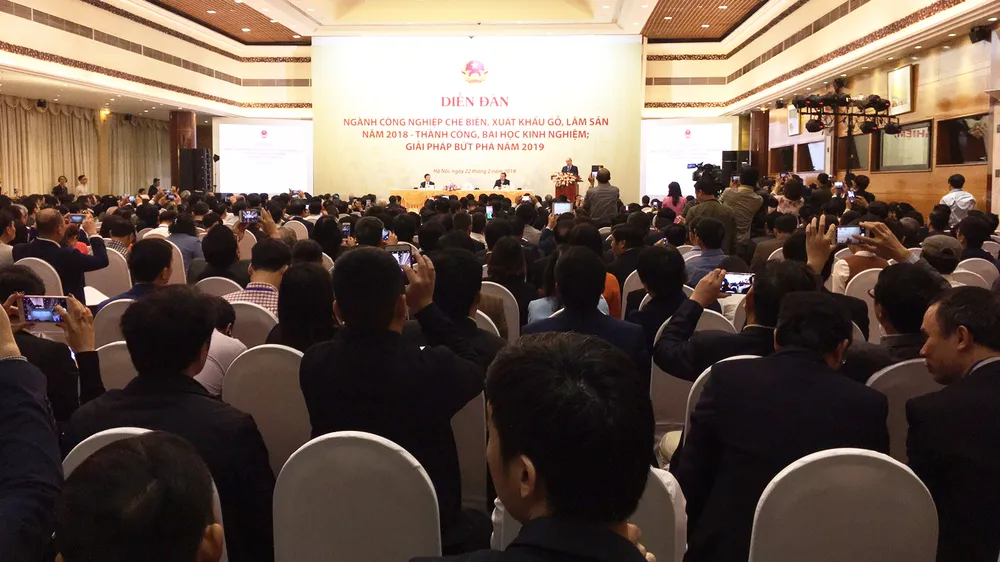 Hỗ trợ người trồng rừng, để Việt Nam xây dựng vùng nguyên liệu gỗ xuất khẩu bền vững ảnh 1