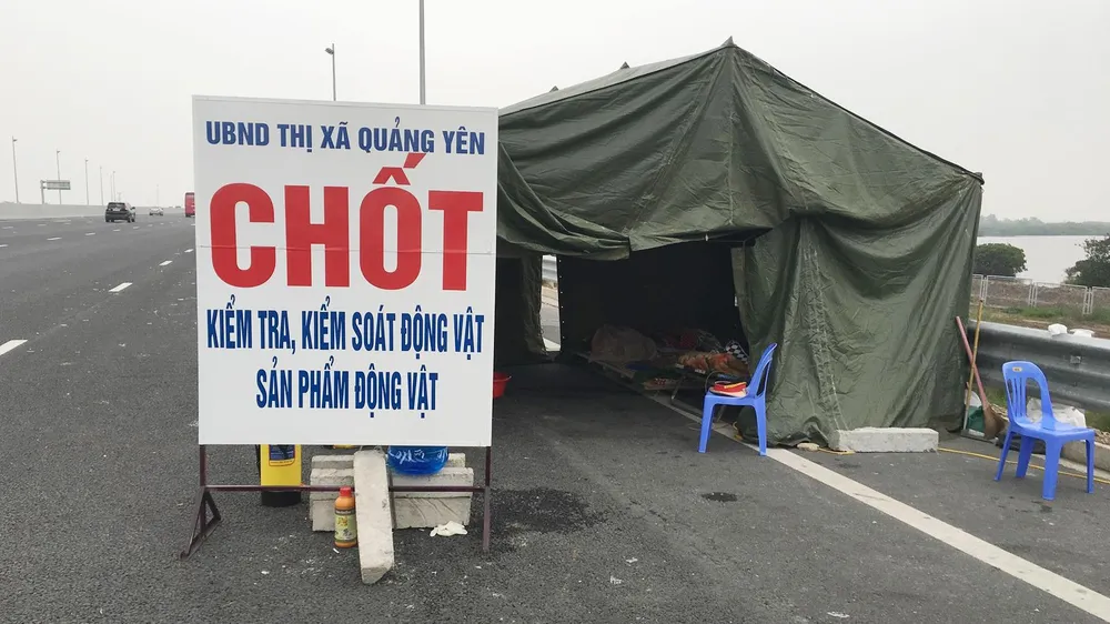 Dịch lây ra 21 tỉnh, lập Ban chỉ đạo quốc gia chống dịch tả heo châu Phi