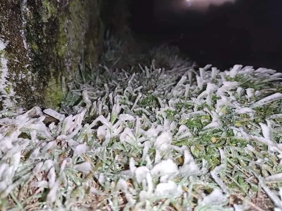 Hà Nội còn 8 độ C, Mẫu Sơn chìm trong băng tuyết ảnh 4