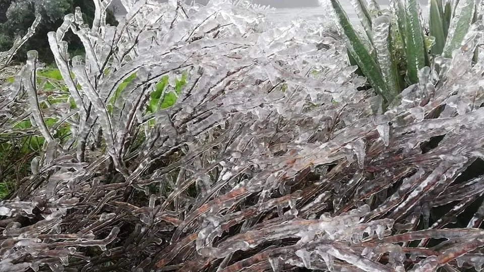 hinh-dai-dien-tuyet-roi_YVVF