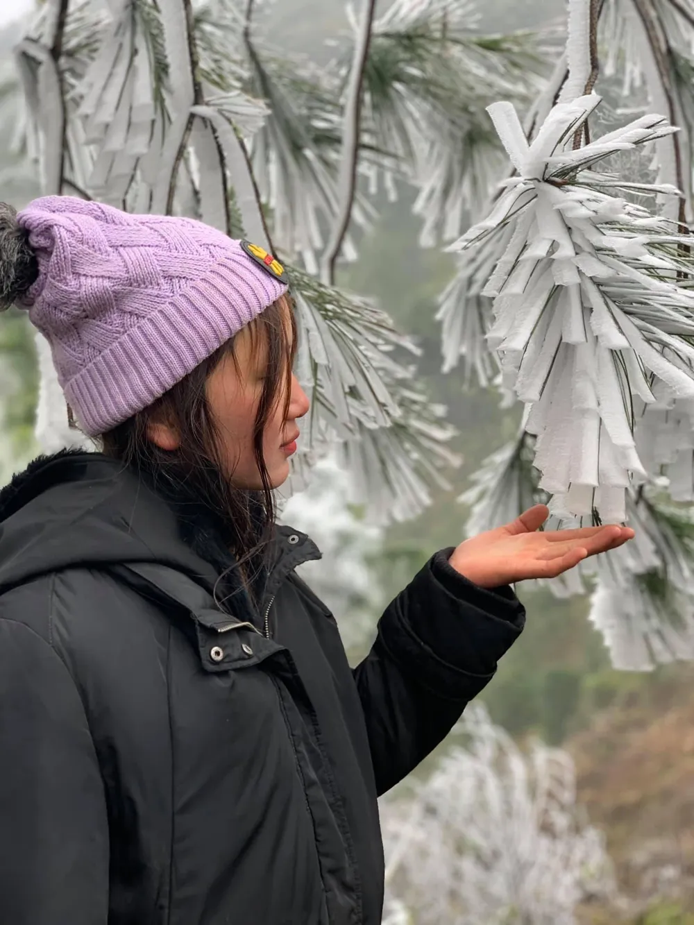 Miền Bắc, miền Trung lại sắp hứng đợt băng giá mới ảnh 4