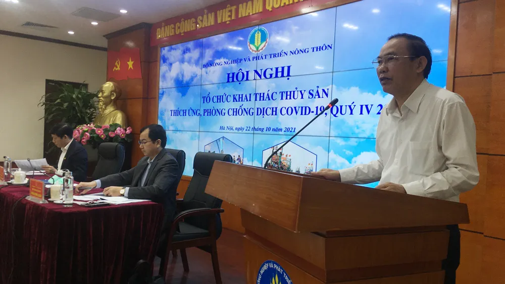 Hàng chục ngàn tàu cá phải nằm bờ, thiếu hụt người đi biển ảnh 1