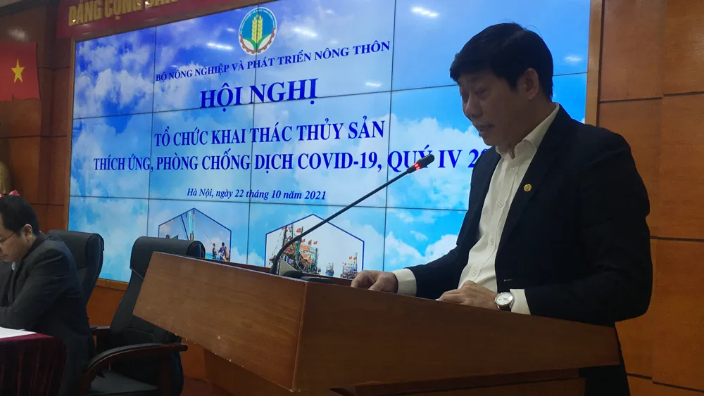 Hàng chục ngàn tàu cá phải nằm bờ, thiếu hụt người đi biển ảnh 2