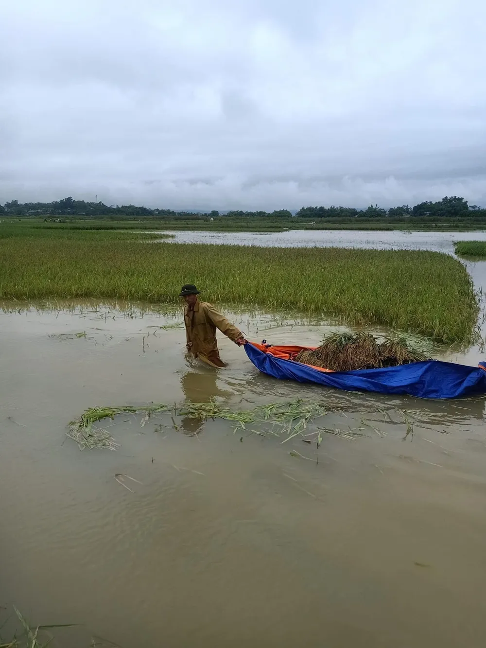 Miền Bắc: Nhiều nơi đường thành sông, ô tô “bơi” trong nước ảnh 10