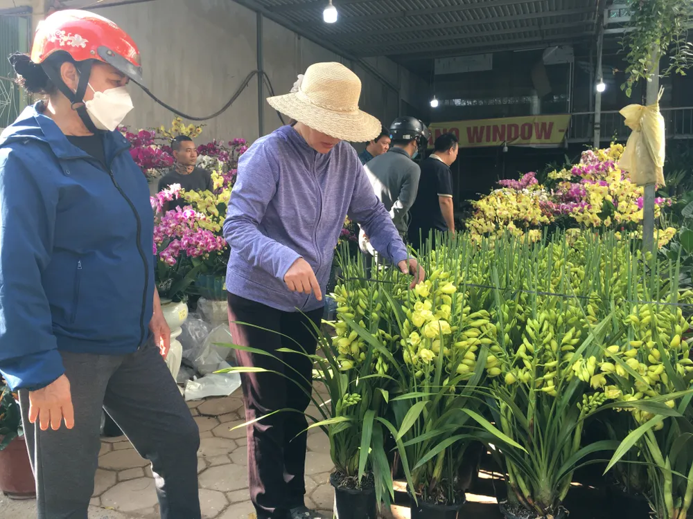 Một chậu địa lan 10 cành, chủ shop báo giá 500.000 đồng, khách trả 300.000 đồng, chủ shop không bán