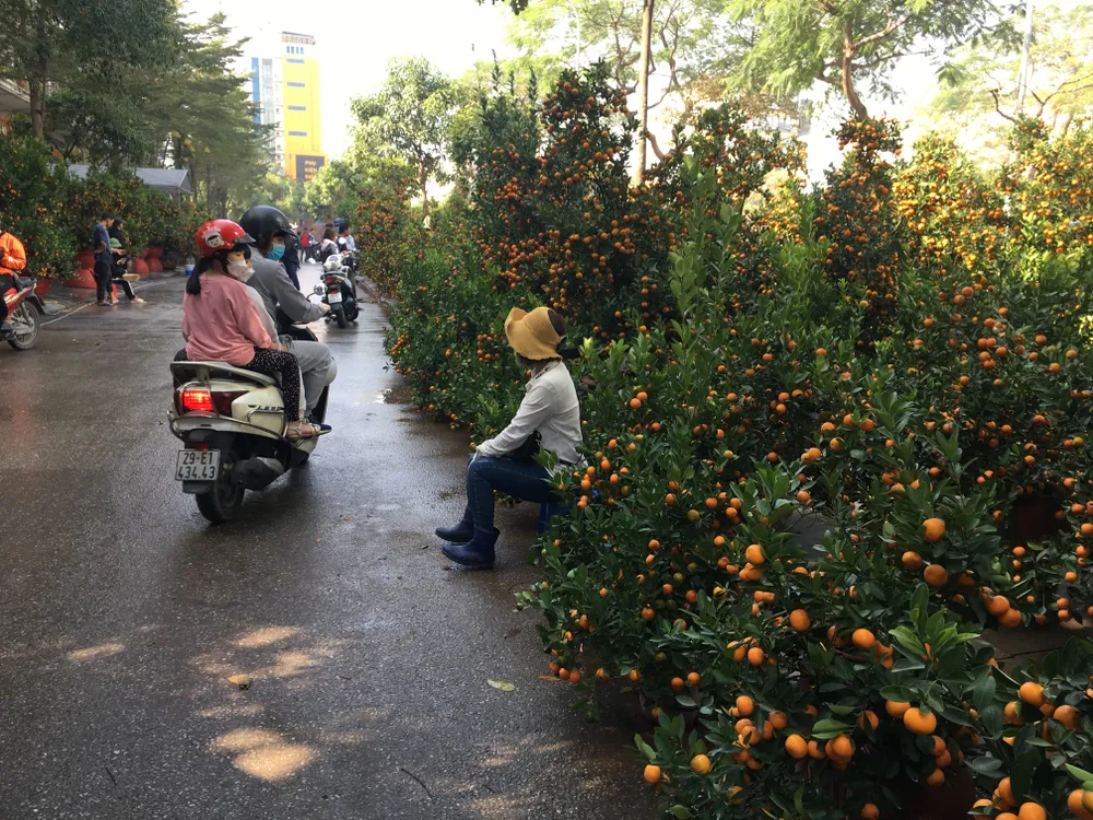 Hầu như khách chỉ đi xem chứ chưa mua