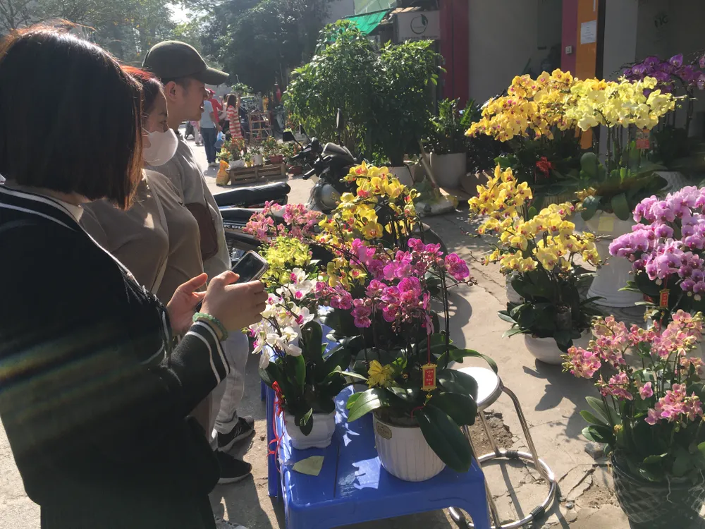 Người dân Hà Nội đi dạo chợ hoa Tết Quý Mão