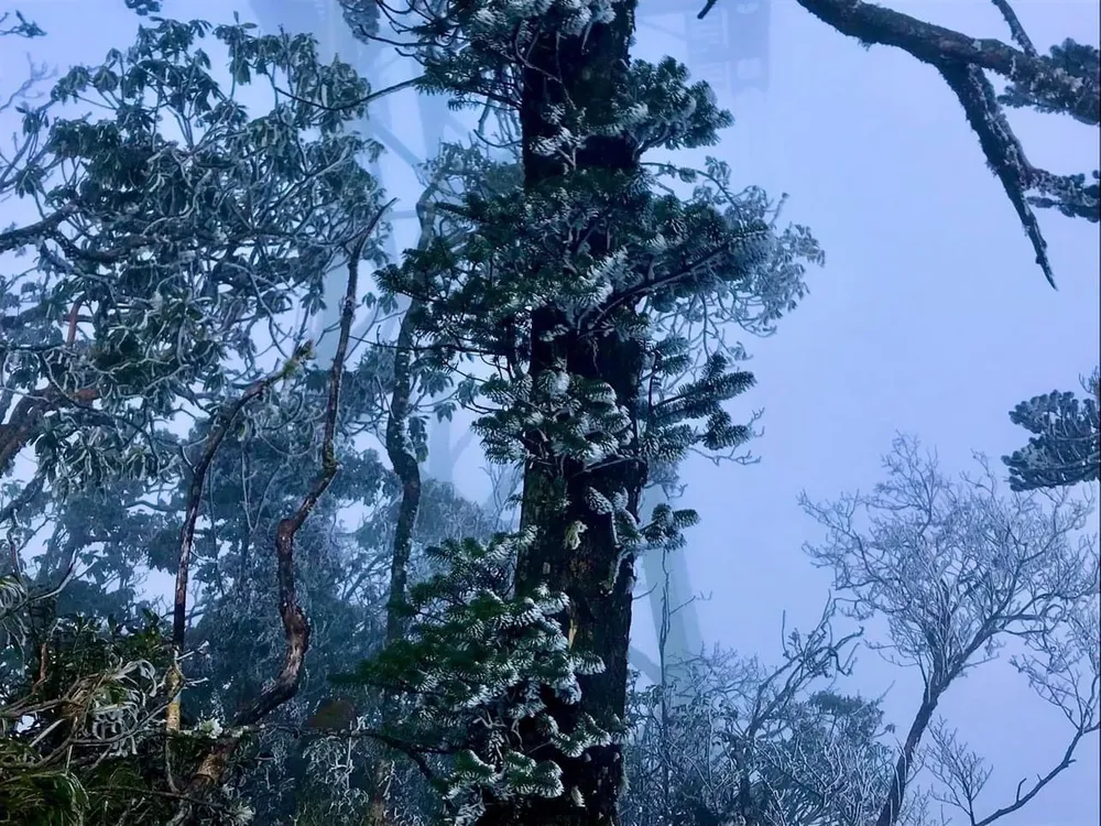 Sáng nay 25-1, nhiều nơi ở miền Bắc rét buốt