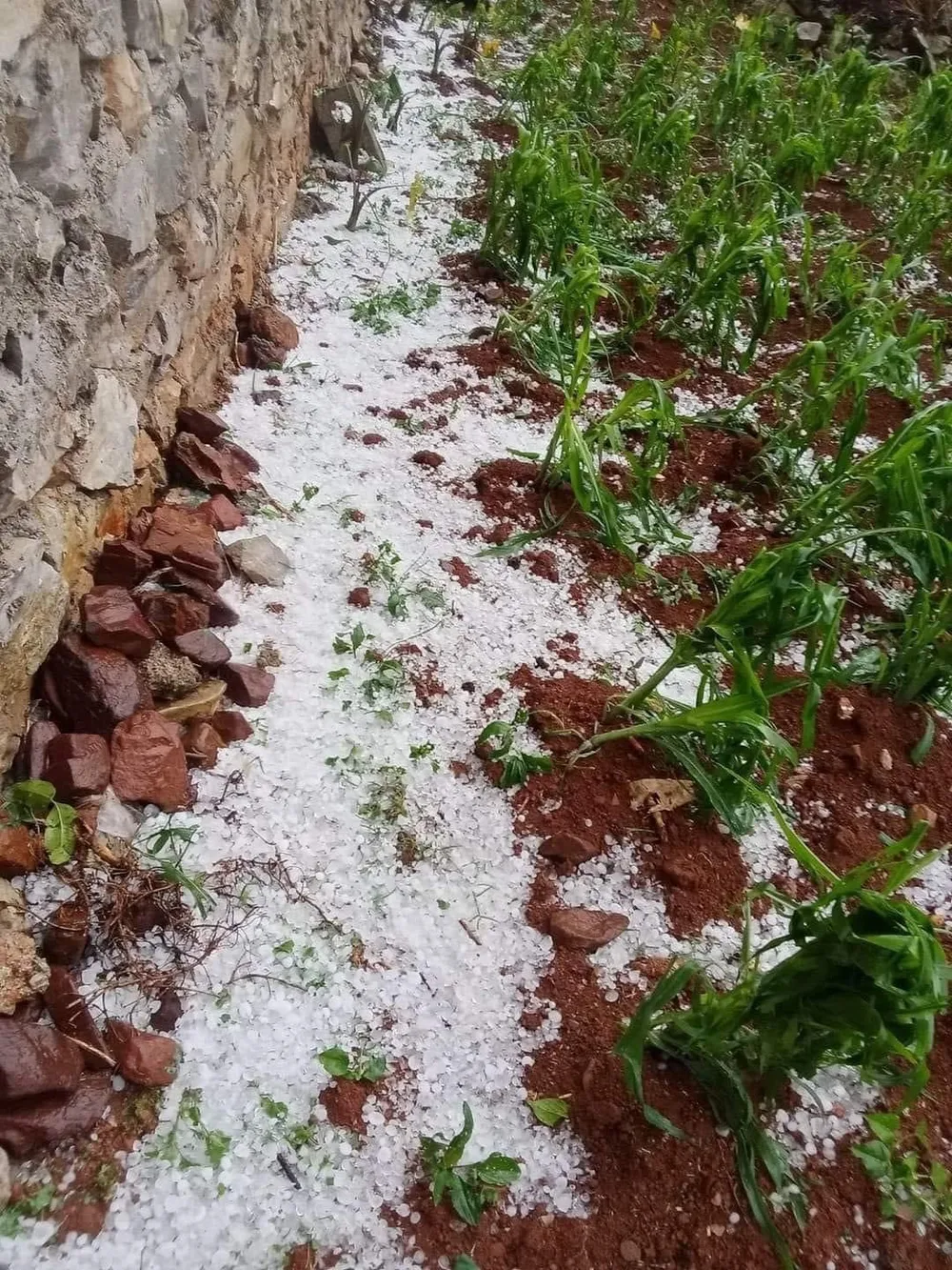 Mưa đá tại tỉnh Cao Bằng chiều 7-5 Mưa đá tại tỉnh Cao Bằng chiều 7-5