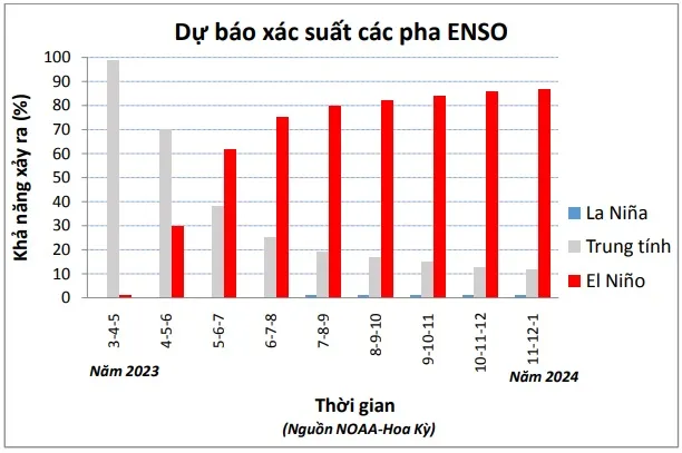 Dự báo xác suất xuất hiện El Nino (màu đỏ), La Nina (màu xanh) và trung tính (màu ghi) từ giữa năm 2023 đến đầu năm 2024
