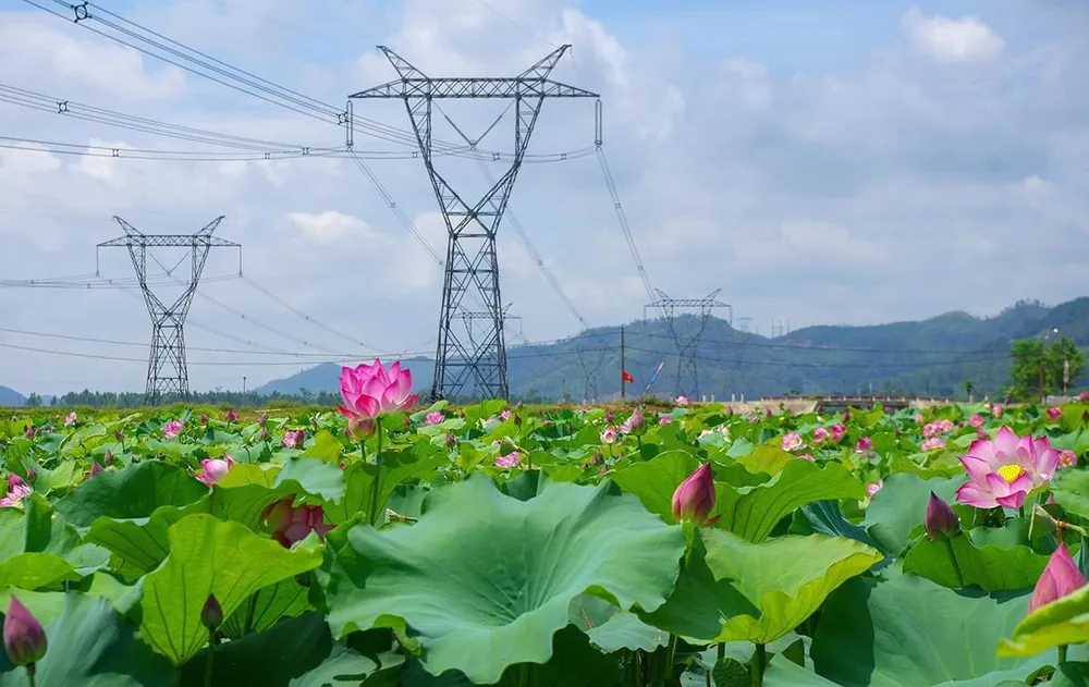 Hệ thống truyền tải điện quốc gia trước nỗi lo thiếu điện, không ổn định do nắng nóng, El Nino năm 2023 Hệ thống truyền tải điện quốc gia trước nỗi lo thiếu điện, không ổn định do nắng nóng, El Nino năm 2023