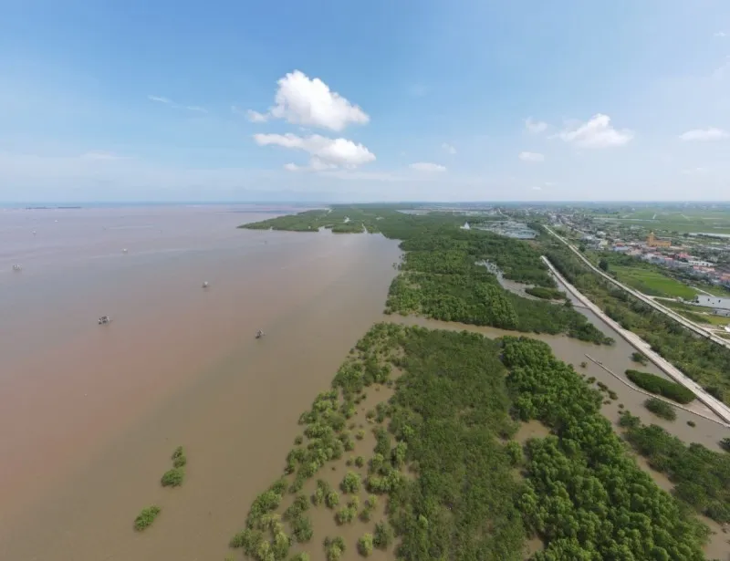 Khu bảo tồn thiên nhiên đất ngập nước Tiền Hải (Thái Bình) Khu bảo tồn thiên nhiên đất ngập nước Tiền Hải (Thái Bình)