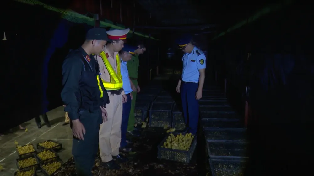 Lực lượng chức năng ngăn chặn gia cầm lậu. Ảnh: MINH PHÚC