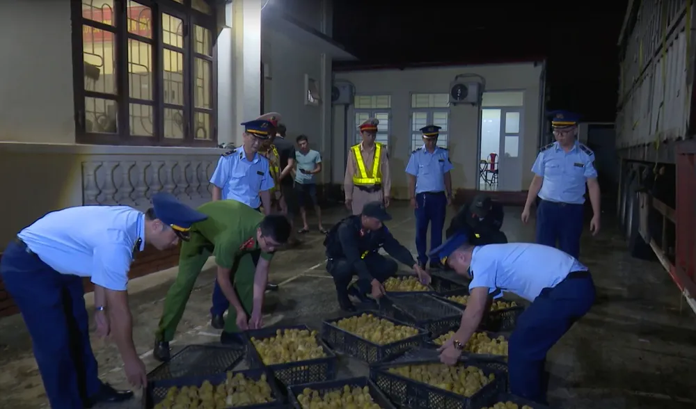 Lực lượng chức năng các tỉnh biên giới phía Bắc liên tục bắt giữ các vụ nhập lậu giống gia cầm vào nội địa. Ảnh: Báo NNVN