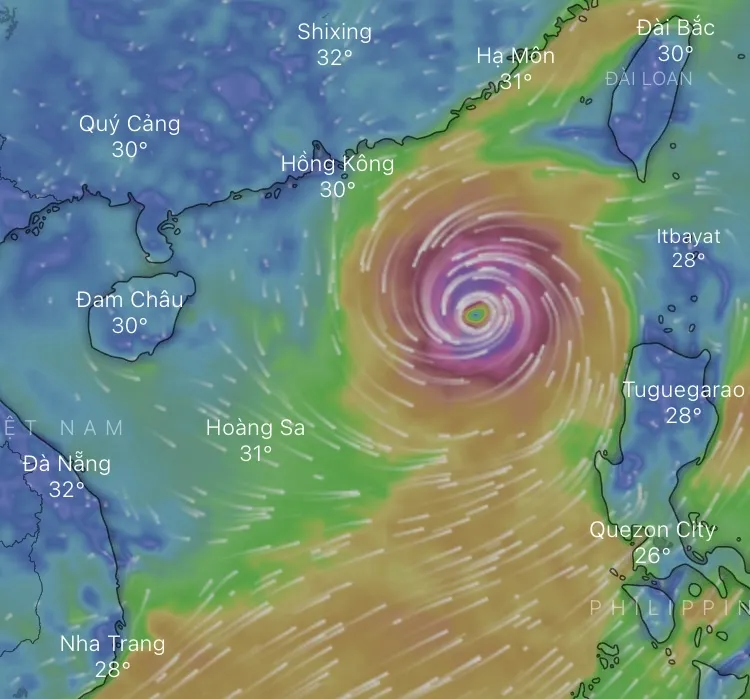 Bão số 3 (Yagi) đang cách đảo Hải Nam (Trung Quốc) hơn 700km. Nguồn: WINDY