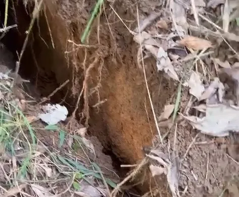 The crack on the hillside in Duyen Hai Ward (Lao Cai City)
