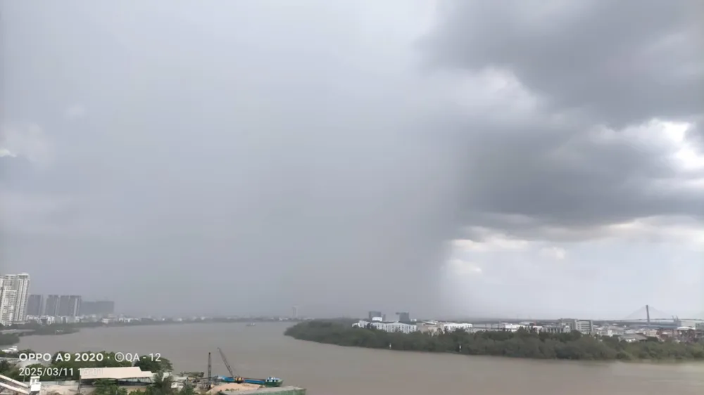 Cơn mưa trái mùa chiều 11-3 tại TPHCM. Ảnh: QUỐC ANH