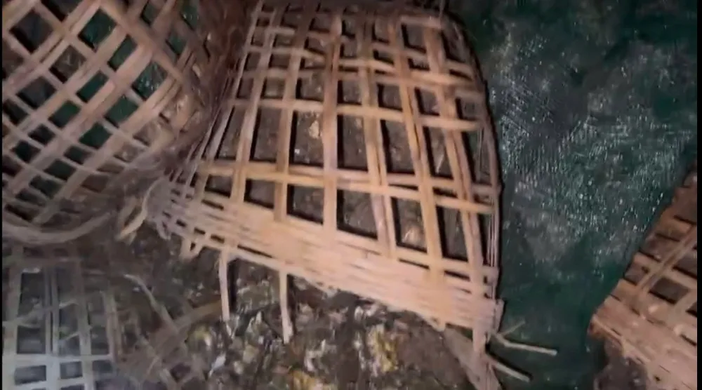 Khám xe tải BKS 34C-076.44 vận chuyển 7.660kg hàu không rõ nguồn gốc, xuất xứ. Ảnh: DMS