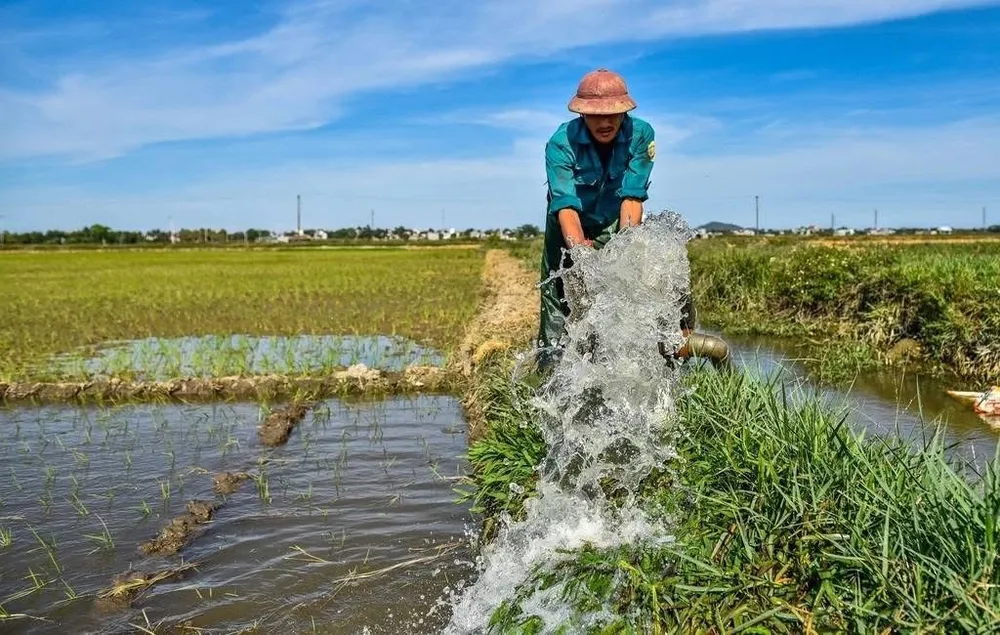 Miền Bắc: Tăng xả nước thủy điện phục vụ gần 480.000ha lúa Đông Xuân