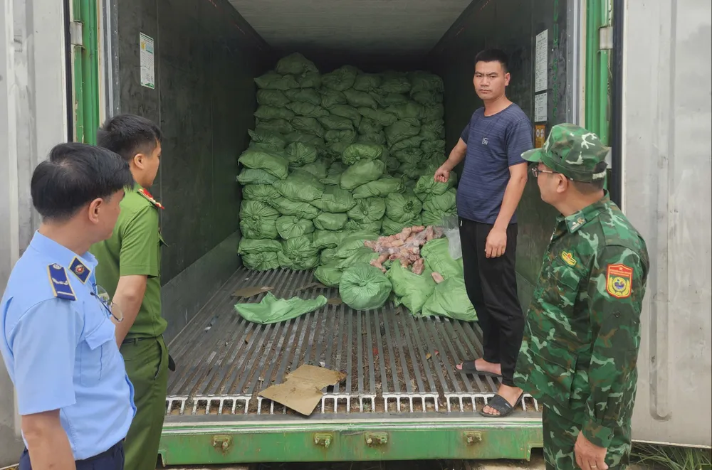 Lực lượng chức năng kiểm tra các lô thực phẩm không rõ nguồn gốc tại tỉnh Quảng Ninh. Ảnh: DMS