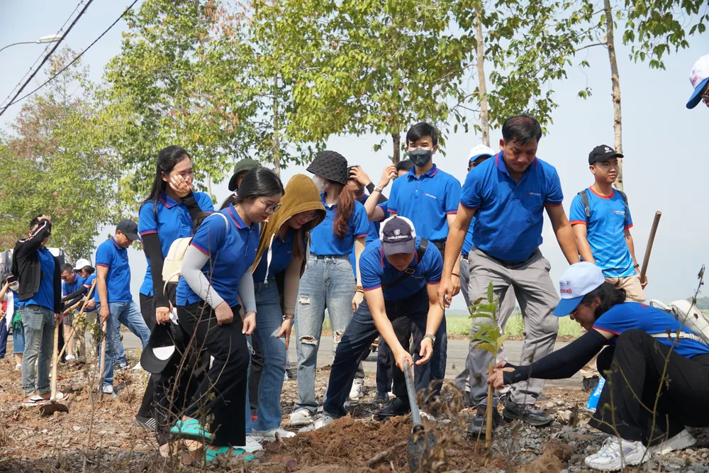 Hoạt động trồng cây tại chương trình Phát động Tết trồng cây.JPG