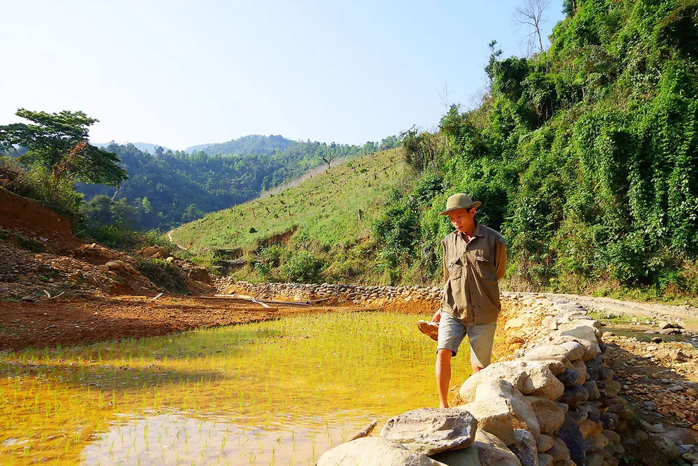 Buồn ở đất “vàng vui” ảnh 1