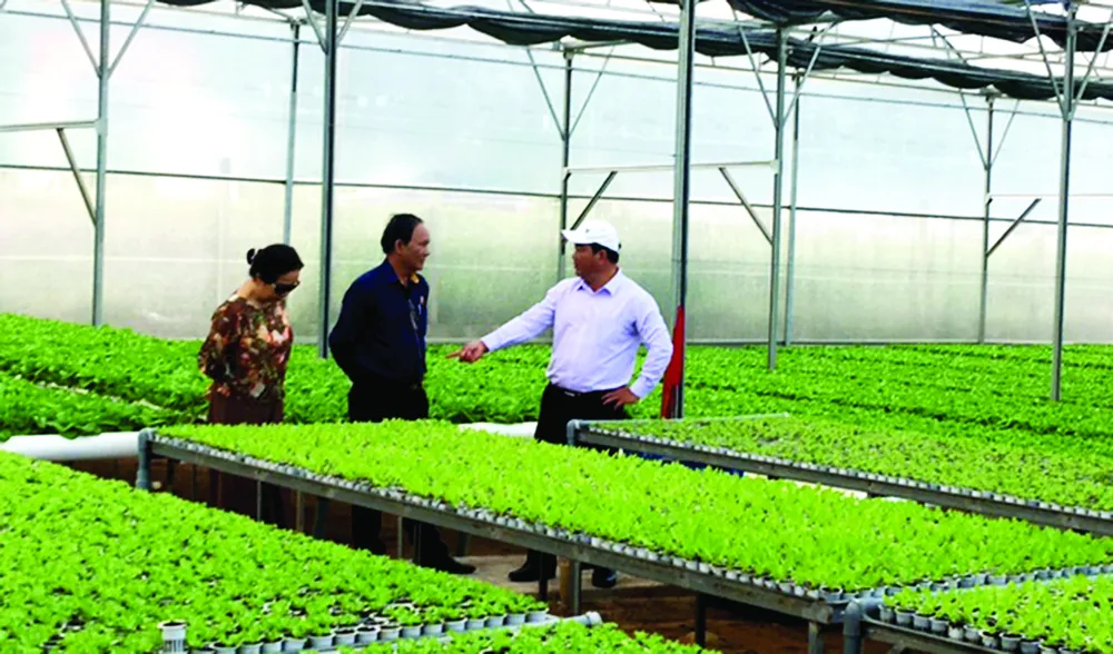  Dễ tăng diện tích, khó tìm đầu ra ảnh 1