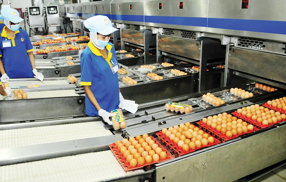 Kiểm tra năng lực sản xuất tại các doanh nghiệp bình ổn ảnh 1