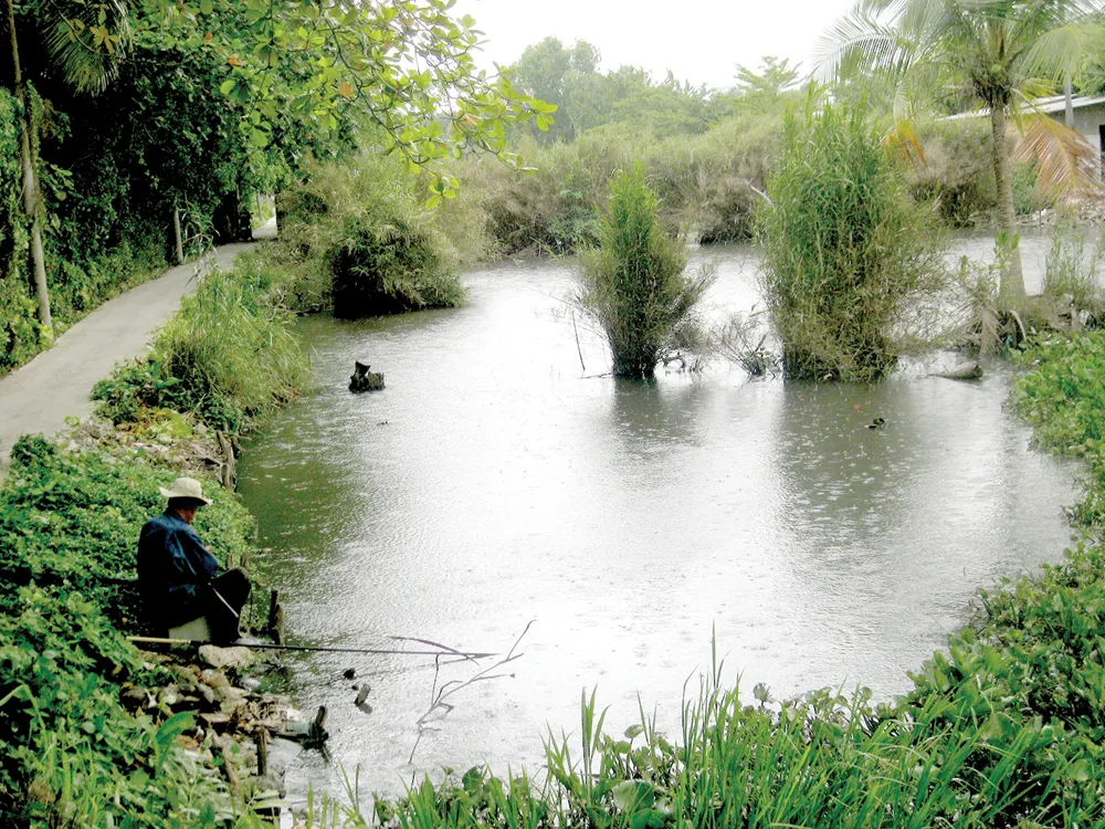 Dự án treo gây ô nhiễm, lãng phí ảnh 1
