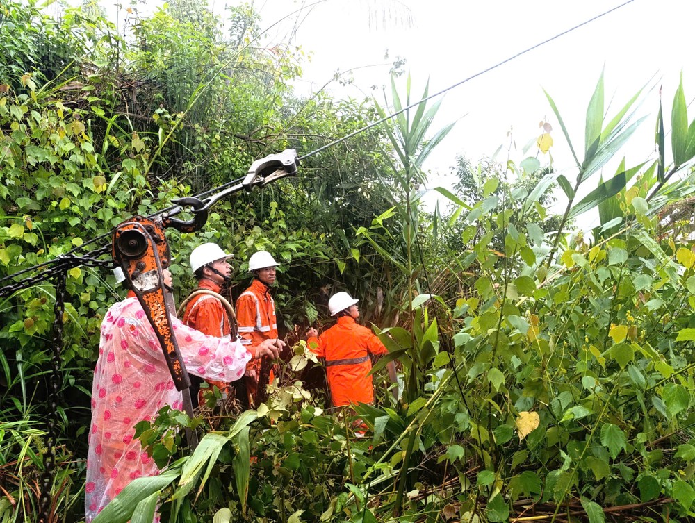 为受洪灾影响逾40万客户恢复供电