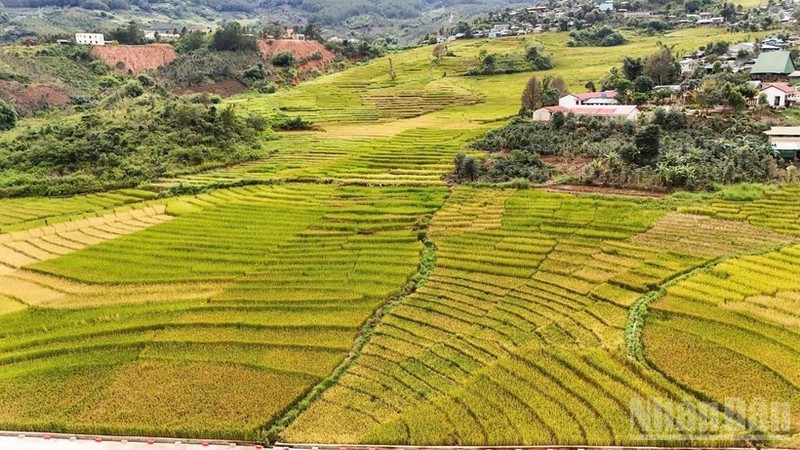 新广义省地域辽阔，从高山、边境到海岛，山海相连，风光壮丽，为将旅游业打造成为新阶段经济增长的重要动力奠定坚实基础。图自人民报 