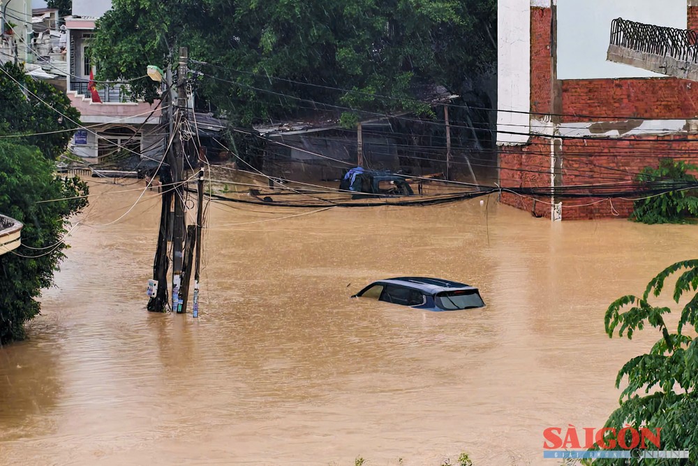 5  dasua-1-2-4245-5582.jpg