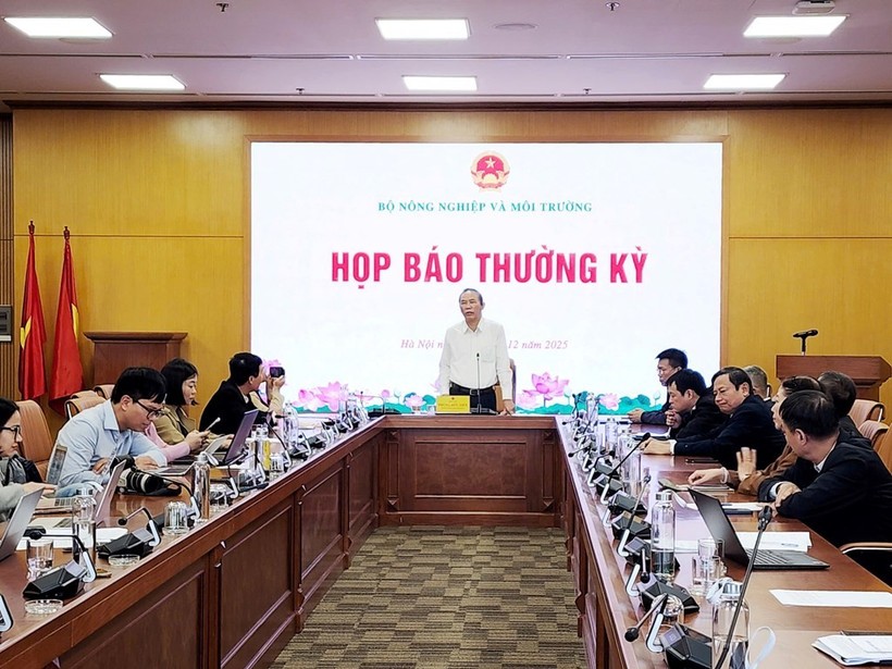 会议现场。图自越通社 