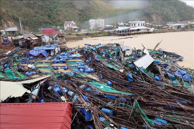 雨洪对德乐省水产养殖网箱造成严重损失。 