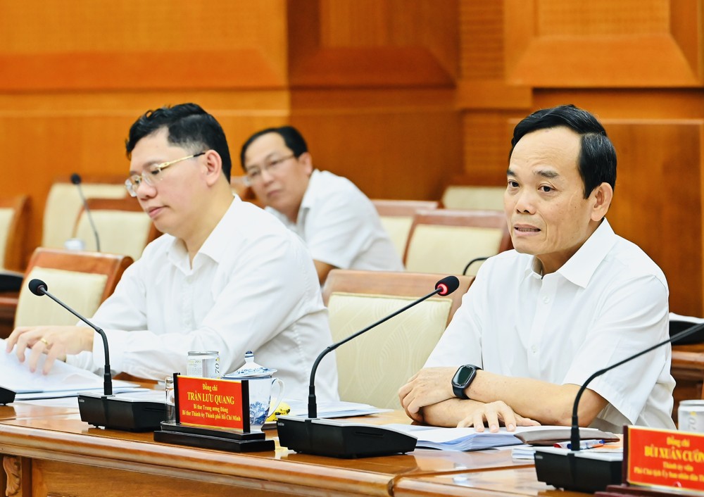 胡志明市市委书记陈留光主持会议。