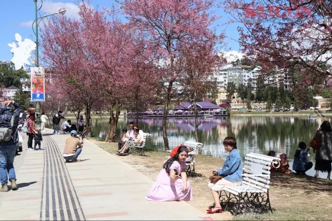 春香湖是种植众多樱花树的区域之一，吸引民众与游客前来参观。