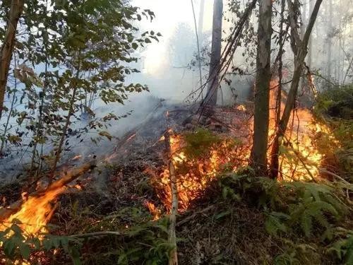台湾地区云林山火延烧超一天 有扩大趋势