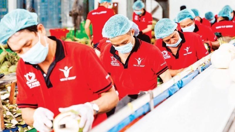 附图。图自越通社 