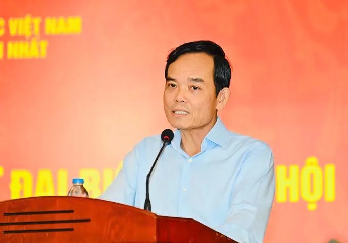  党中央政治局委员、胡志明市市委书记陈留光担任指委会主任。