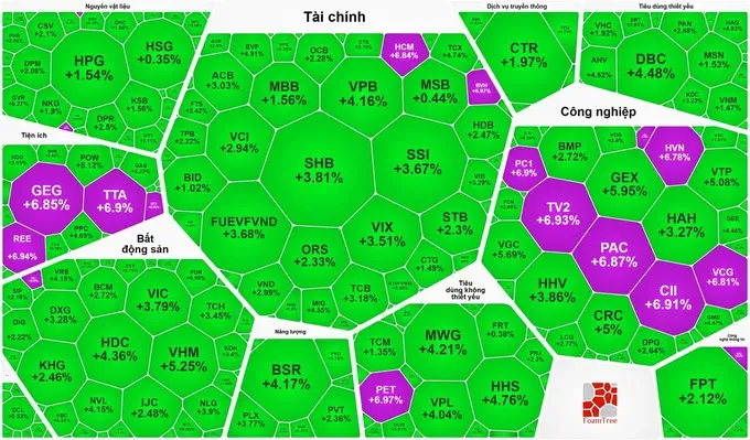 电力股票一律涨停，VN-Index上涨逾43点