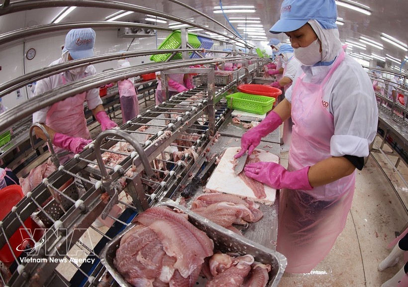 2026年一季度越南农林水产品出口增长近6%。