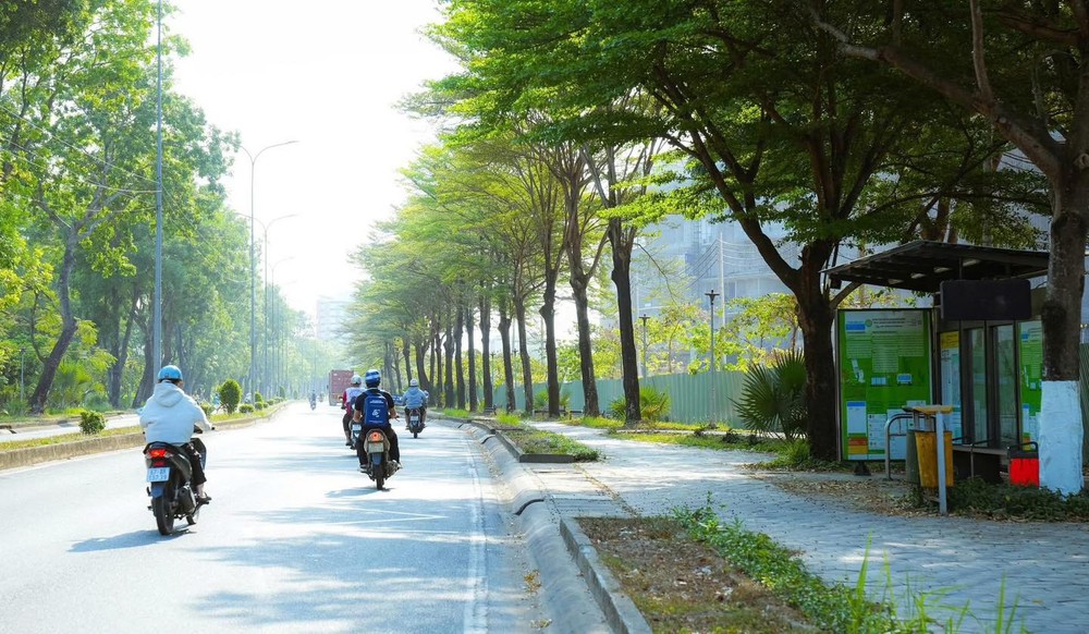 2  giaothongxanh (4).jpg