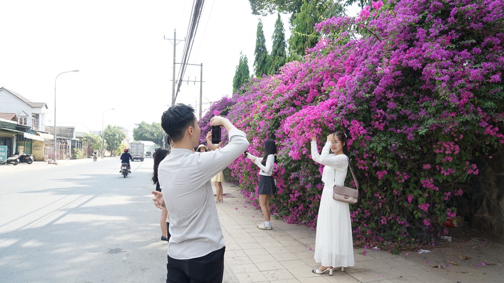 4  duy06191-817-4029.jpeg