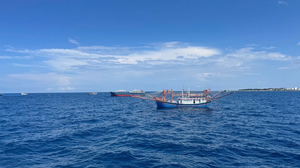 2  3081277249822674913.jpg