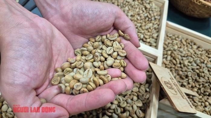  印尼罗布斯塔即将收获，巴西随后跟进。