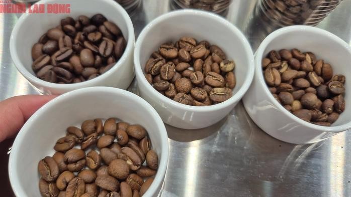 今日咖啡价格在前一交易日大幅上涨后回落。 